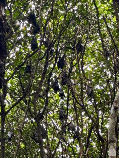 Coco Huts Guest House - 4