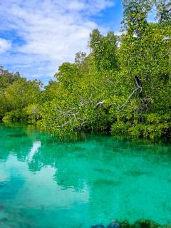 Coco Huts Guest House - 7