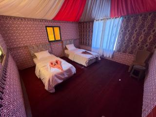 Milky Way Nights Camp - 3