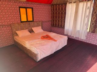 Milky Way Nights Camp - 2