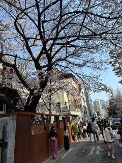 Urban Cozy Stay -Hongdae, Seoul - 1