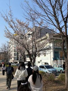 Urban Cozy Stay -Hongdae, Seoul - 4