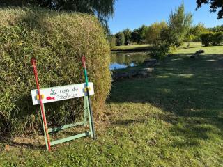 Maison de campagne, charme Touraine - pers. - FR-1-381-649 - 5