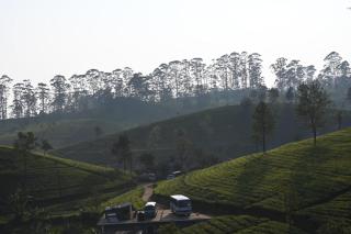 Sana's homestay haputhale - 2