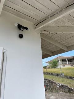 Refreshed Pallet - 7