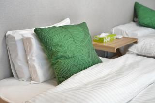 ZJ201 Family 1BR Home, 9 Min to Sumiyoshi, Double Bed, Single Bed and Sofa Bed - 5