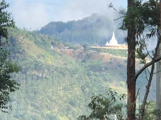 Ella 96 TN Resort - 6