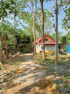 ดงสัก สไตล์ป่า ไทรโยคน้อย - 1