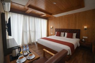 TATA Vista Resort - Centrally Heated & Air Cooled, Mall Road Manali - 4