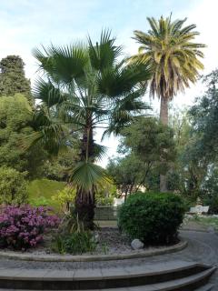 Residence Les Palmiers - Nice - 1