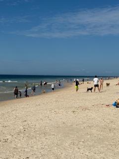 Walk to the Beach from Stay Salty on Bribie Island - 9