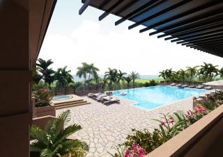 ALLAMANDA Splendid - 8