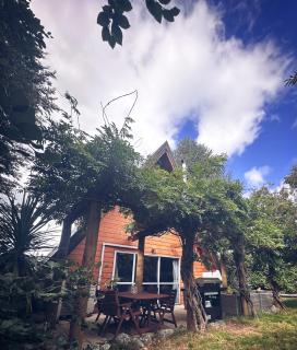 Aurora A-Frame Twizel - 9