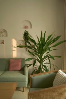 Hideaway88, A Private Hillside Nature Retreat - 5