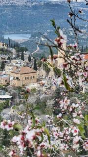 אוהל אברהם- אוהל אירוח עם אווירה ייחודית ונוף מדהים למשפחות ולקבוצות - 8