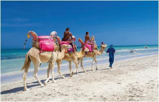 Dar Sofien Erriadh Djerba - 7