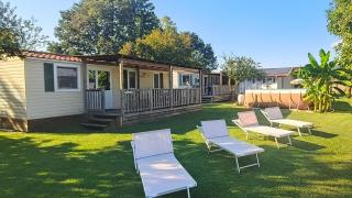 Del Falco AgriCamp-12 kilometers to Garda Lake and Verona - Bussolengo - 5