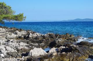 Apartment Dijana - 1