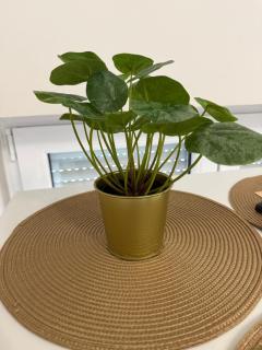 Apartments Tonka - Zagreb - 4