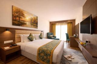 Airport Hotel Tulip Aerocity Near IGI Airport - 9