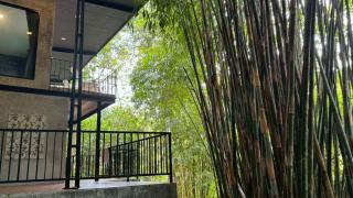 Khaolak Nature House - 0
