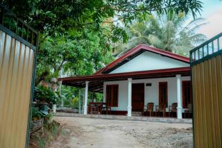 Rainforest River View - 3