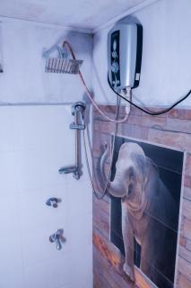 Rainforest River View - 1