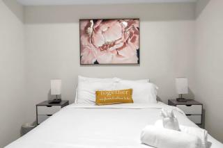 1Bx2B Dog Friendly MLB NBA PlayHouse Square Rock HOF Vasino - 8