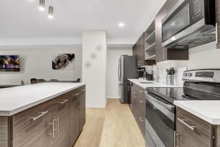 1Bx2B Dog Friendly MLB NBA PlayHouse Square Rock HOF Vasino - 6