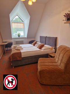 Hotel Skicentrum - 9