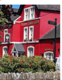 Blarney Castle Hotel - Blarney - 0