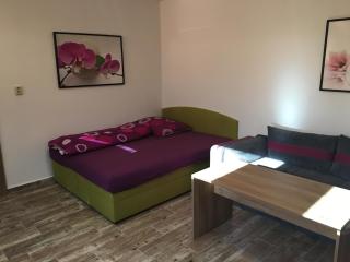 Apartment Šárka - 9