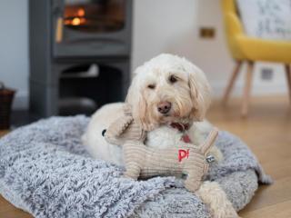 3 Bed in Bideford oc-48845 - 5