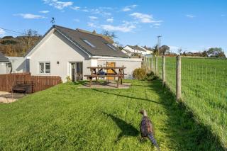 1 Bed in Bryn-y-Gwenin oc-c34139 - 1