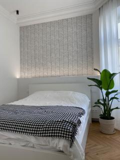 Modern Nest 1904 - 6