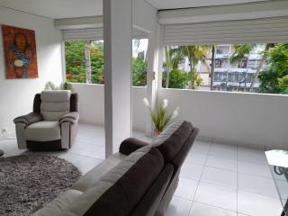 Charmant appartement - Les Abymes - 1