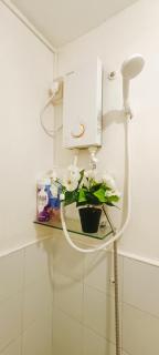 Amigas Transient - Santo Tomas - 5