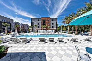 Modern 1BR Minutes to Mayo Clinic and Beach - 7