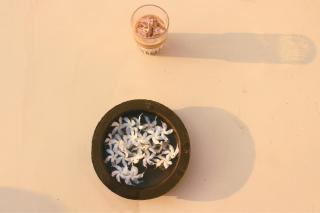 Can Loso - Quiet Garden Room Mirissa - 6