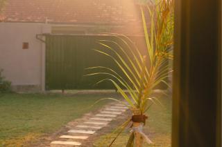 Can Loso - Quiet Garden Room Mirissa - 7