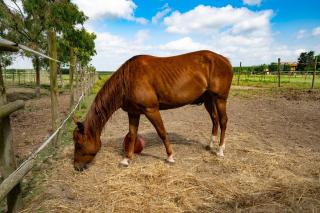 Agriturismo Vialto - 3