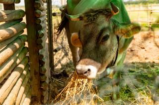 Agriturismo Vialto - 2