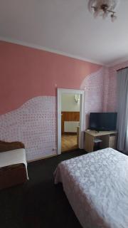 1 ком апарт жд цирк парковка на Олени Степанивни - 1