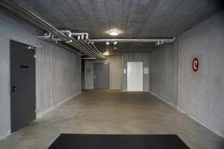 Fuchs at home Landquart - 1