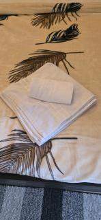 Shatakshi Residency Omaxe Hazratganj - 4