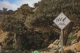 Serenity Retreat at Waitpinga House - 6