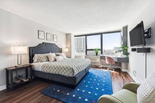 MICH AVE Downtown, Park, Museums 2bd-2ba #4 - 8