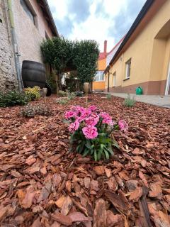 Tessa Central House - 3