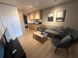 One bedroom apartment in Eidkjosen - 6