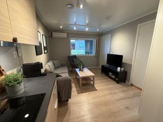 One bedroom apartment in Eidkjosen - 5